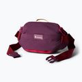 Сумка бананка Cotopaxi Empcable Sling 3 l acai 2