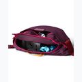 Сумка бананка Cotopaxi Empcable Sling 3 l acai 4