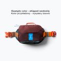 Сумка бананка Cotopaxi Allpa X Hip Pack 1,5 l vapor and smoke