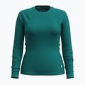 Жіноча термоактивна кофта Smartwool Merino 250 Baselayer Crew Boxed emerald green 3