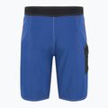 Шорти для плавання чоловічі Quiksilver Saturn Solid 21" Monaco Blue 7
