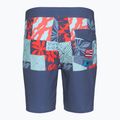 Шорти для плавання чоловічі Quiksilver Surfsilk Hawaii Blocked 19" Crown Blue 2