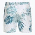 Шорти для плавання чоловічі Quiksilver Wild Fern Volley 17" 2