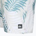 Шорти для плавання чоловічі Quiksilver Wild Fern Volley 17" 3