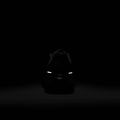 Кросівки для бігу жіночі Nike Pegasus 41 black / black / anthracite 14