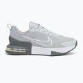 Кросівки для тренувань чоловічі Nike Air Max Alpha Trainer 6 cool grey/wolf grey/pure platinum/white 2