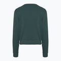 Жіночий світшот Nike Dri-FIT One Crew Neck French Terry жіночий вінтажний зелений/чорний 2