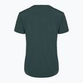 Футболка жіноча Nike One Classic Dri-Fit vintage green / black 2