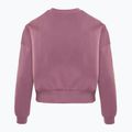 Кофта дитяча Nike Sportswear Club Fleece plum dust/light wild mango 2
