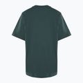 Футболка жіноча Nike Sportswear Loose Graphic vintage green 2