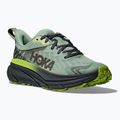 Кросівки для бігу чоловічі HOKA Challenger 7 GTX aloe vera/lettuce 8