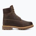 Черевики чоловічі Timberland 6In Premium brown 2