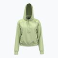 Кофта жіноча Under Armour Pro Fleece Hoodie retro green/white