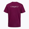Футболка для тренувань чоловіча Under Armour Project Rock Terry Q3 purple 2