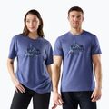 Футболка трекінгова чоловіча Smartwool Alpine A-Frame Graphic Tee nightfall blue 2