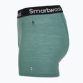 Труси термічні чоловічі Smartwool Everyday Merino Boxer Brief Boxed black dusty teal 3