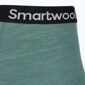 Труси термічні чоловічі Smartwool Everyday Merino Boxer Brief Boxed black dusty teal 4