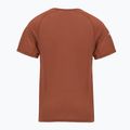 Футболка термічна чоловіча Smartwool Merino Sport 120 burnt sienna 2