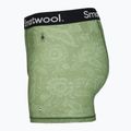 Труси термічні чоловічі Smartwool Merino Print Boxer Brief Boxed frn rstc flrl 3