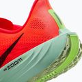 Кросівки для бігу чоловічі Nike Pegasus Plus bright crimson / cave purple / lime blast 18