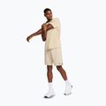 Шорти чоловічі Nike Totality Dri-Fit 9" desert khaki/black 2