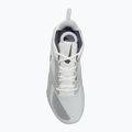 Кросівки волейбольні Nike Zoom Hyperace 3 SE smmit white/metalic silver/pure platinum 5