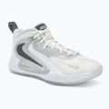 Кросівки волейбольні Nike Hyperset 2 SE smmit white/metalic silver/pure platinum