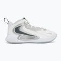 Кросівки волейбольні Nike Hyperset 2 SE smmit white/metalic silver/pure platinum 2