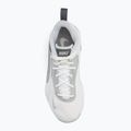 Кросівки волейбольні Nike Hyperset 2 SE smmit white/metalic silver/pure platinum 5