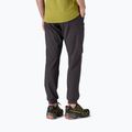 Штани чоловічі Patagonia Terrebonne Joggers black 6