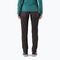 Штани жіночі Patagonia Terravia Alpine Pants black w/ink black 3