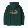 Кофта чоловіча Patagonia Unity Fitz Uprisal Hoody cascade green 2