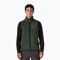 Жилет чоловічий Patagonia Retro Pile Fleece old growth green