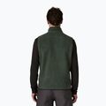 Жилет чоловічий Patagonia Retro Pile Fleece old growth green 2