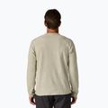 Кофта чоловіча Patagonia R1 Air Crew pelican 2