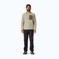 Кофта чоловіча Patagonia R1 Air Crew pelican 3