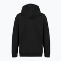 Кофта чоловіча Patagonia '95 Oval Logo Uprisal Hoody Black: Kaleido 2