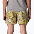 Шорти чоловічі Patagonia Baggies 5" shelly shelly/mellow melon 4