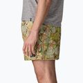 Шорти чоловічі Patagonia Baggies 5" shelly shelly/mellow melon 5