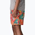 Шорти чоловічі Patagonia Baggies Longs 7" tropiclimb/hot ember 5