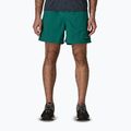 Шорти чоловічі Patagonia Baggies 5" 95 oval logo/gem green