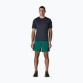 Шорти чоловічі Patagonia Baggies 5" 95 oval logo/gem green 2