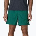 Шорти чоловічі Patagonia Baggies 5" 95 oval logo/gem green 4
