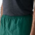 Шорти чоловічі Patagonia Baggies 5" 95 oval logo/gem green 8