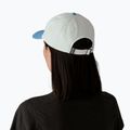 Кепка Patagonia P-6 Label Trad birch white w/shore blue 3