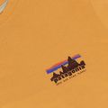 Футболка чоловіча Patagonia '73 Skyline T-Shirt dried mango 3