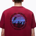 Футболка чоловіча Napapijri S-Vignonil Back tibetan red R1E 4