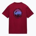 Футболка чоловіча Napapijri S-Vignonil Back tibetan red R1E 6