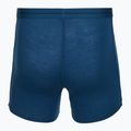 Труси термічні чоловічі icebreaker Anatomica atlantis 2