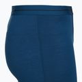 Труси термічні чоловічі icebreaker Anatomica atlantis 3